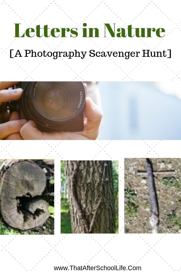 Get kids outdoor and enjoying nature with this nature activity. Look for letters in nature with this photography scavenger hunt for school age kids.
