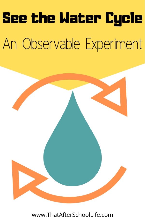 Observe the water cycle in action.  This environmental learning activity shows kids what the water cycle looks like in a real observable way. 