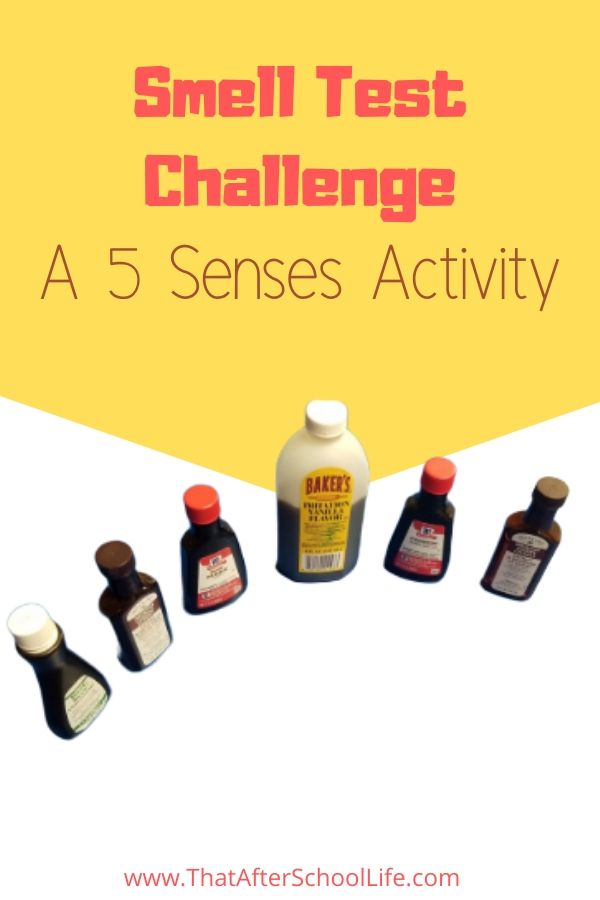 Test kids sense of smell with this fun game.  Using cotton balls, flavor extracts and other liquids challenge kids to identify scents.