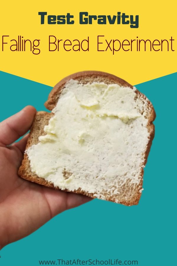 Test gravity with this fun experiment that asks kids to use the scientific method to find out if bread always land buttered side down. Use our free data collection sheet to  make predictions, record results and analyze the data.  